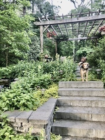 13 Colonial Road Dover, MA 02030 - Photo 20 of 23