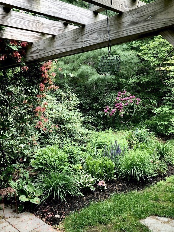 13 Colonial Road Dover, MA 02030 - Photo 21 of 23 a close up of a plant in a garden