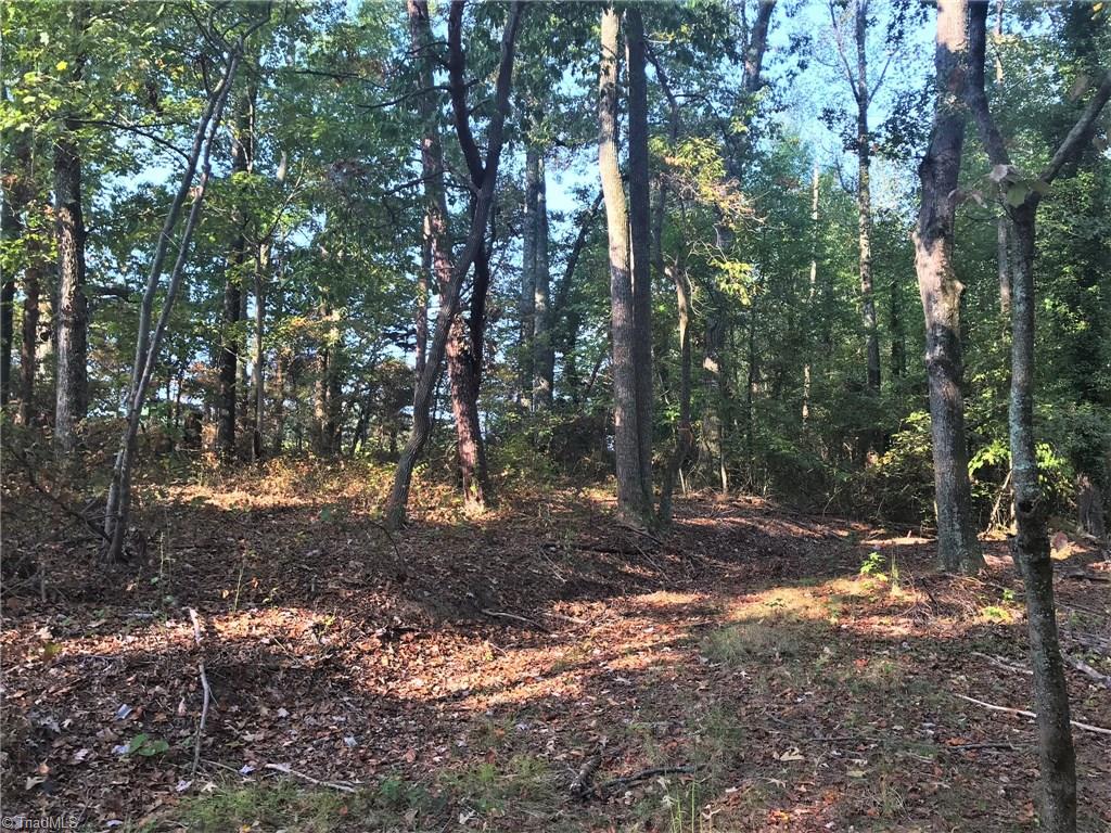 8509 Oak Level Church Road Stokesdale, NC 27357 - Photo 11 of 16 Gallery Image 11