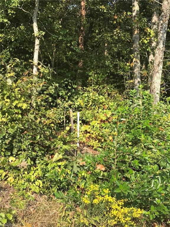 8509 Oak Level Church Road Stokesdale, NC 27357 - Photo 7 of 16 Gallery Image 7
