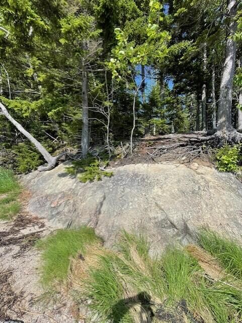 Lot 15-5 Fort Williams Road Harrington, ME 04643 - Photo 17 of 19