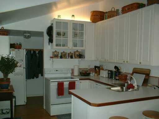 421 West Middle Street Chelsea, MI 48118 - Photo 6 of 8 Photo 6