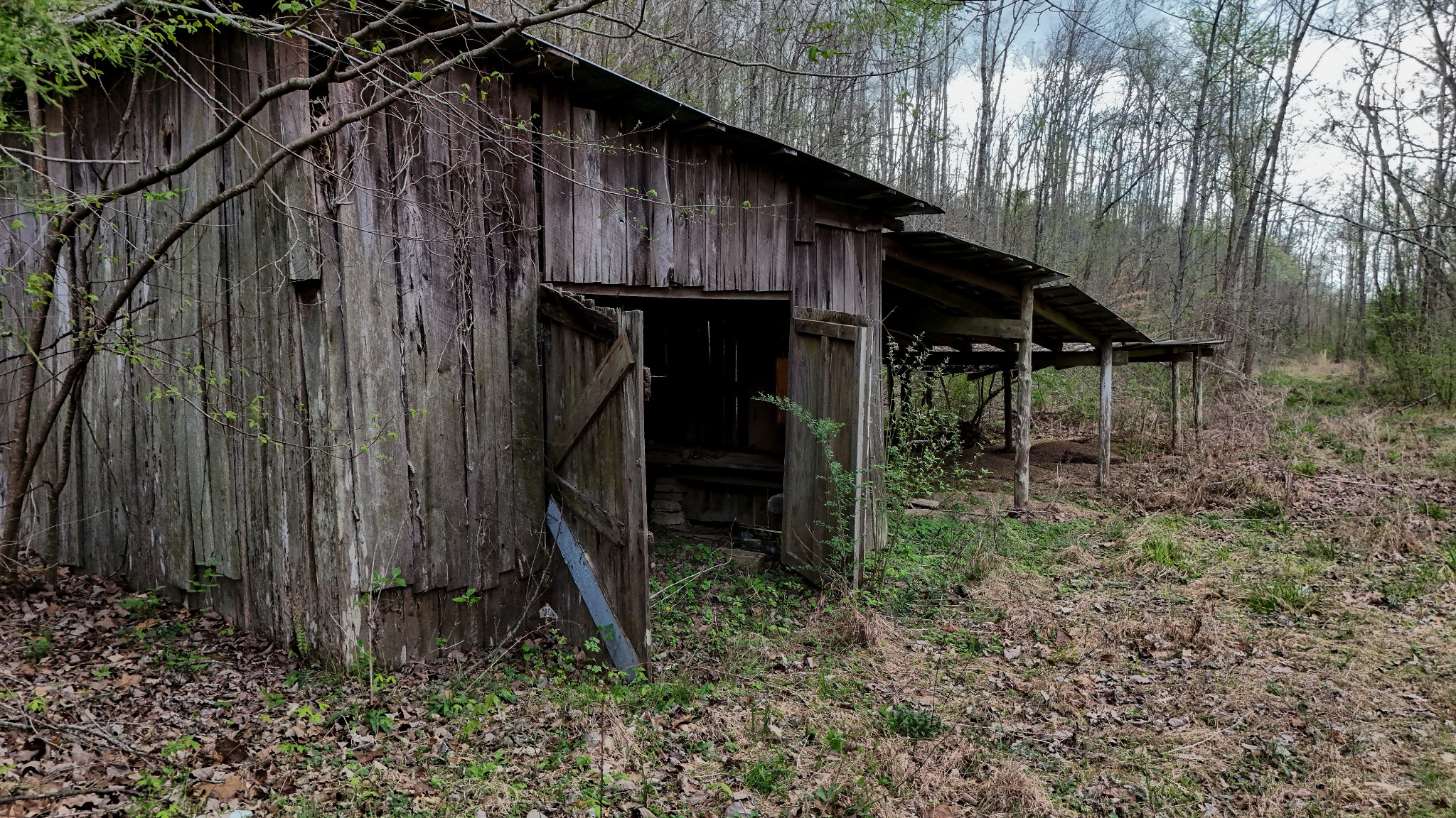 1755 Williams Road Centerville, TN 37033 - Photo 7 of 24 a view of a wooden house with a small barn