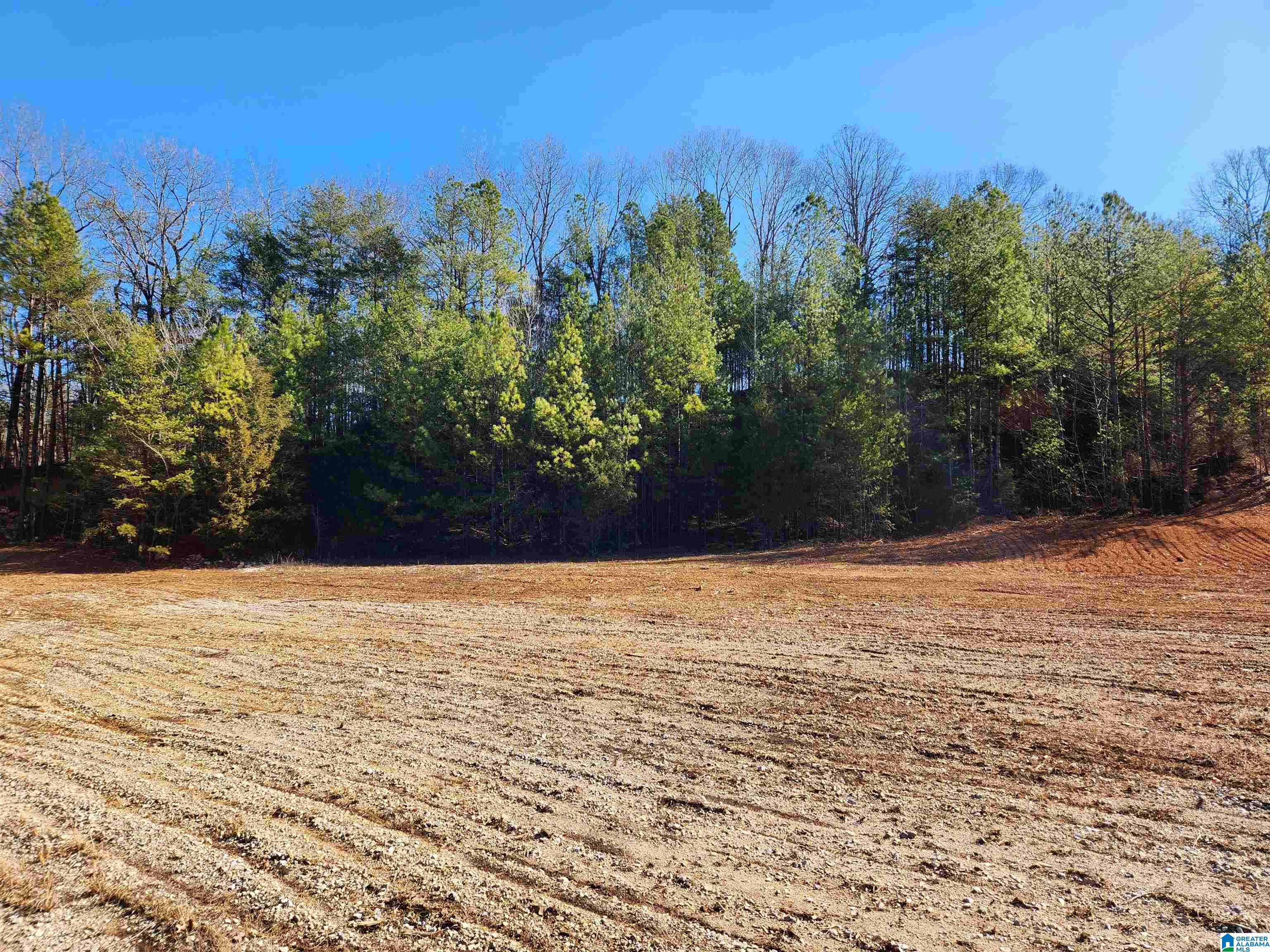 0 Spring Creek Road, Unit 3 Columbiana, AL 35051 - Photo 1 of 14