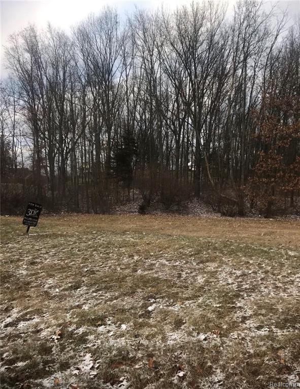 Lot 67 Prairie Rose Howell, MI 48843 - Photo 5 of 16