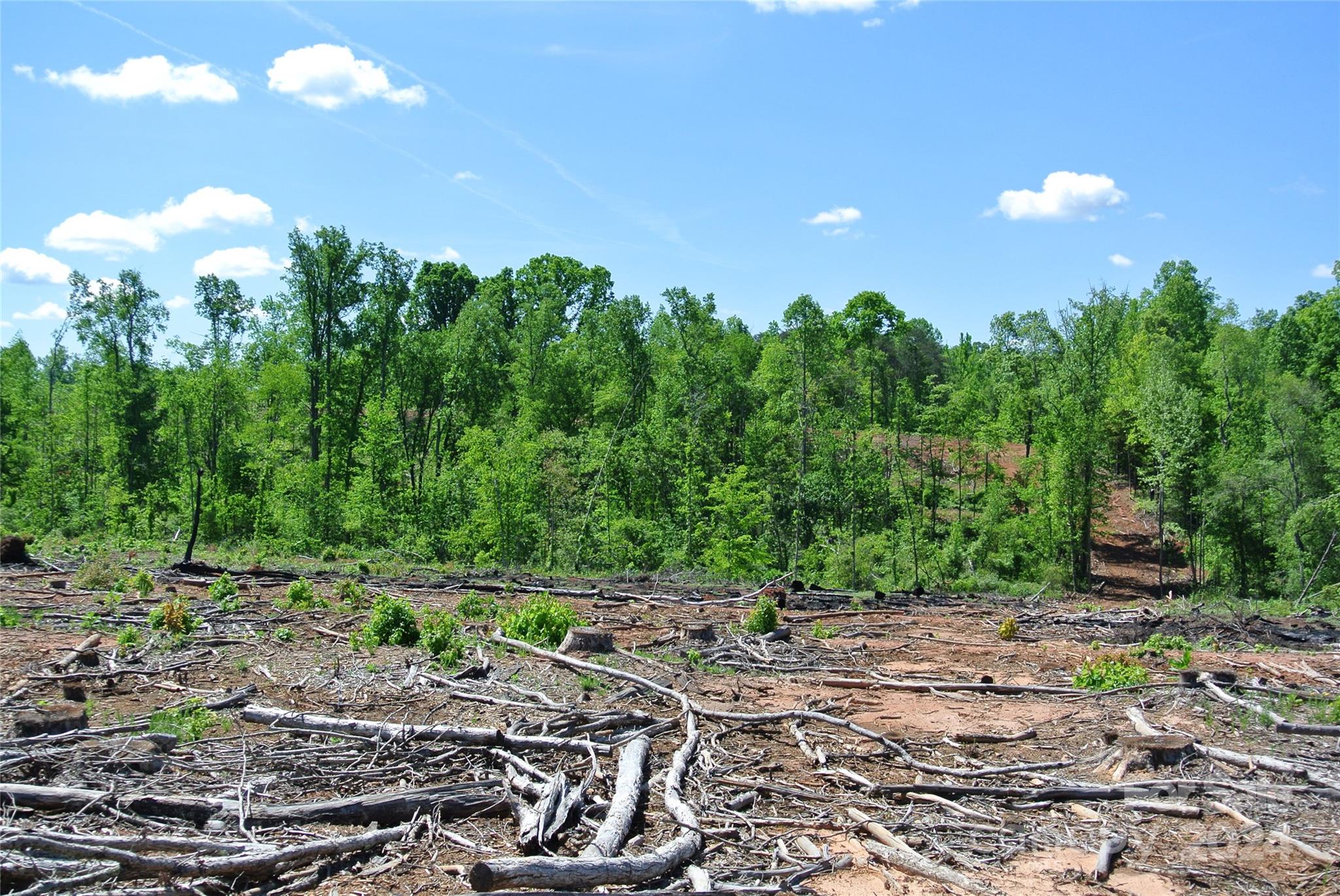 0 Hopper Road Forest City, NC 28043 - Photo 11 of 22 a view of a bunch of trees