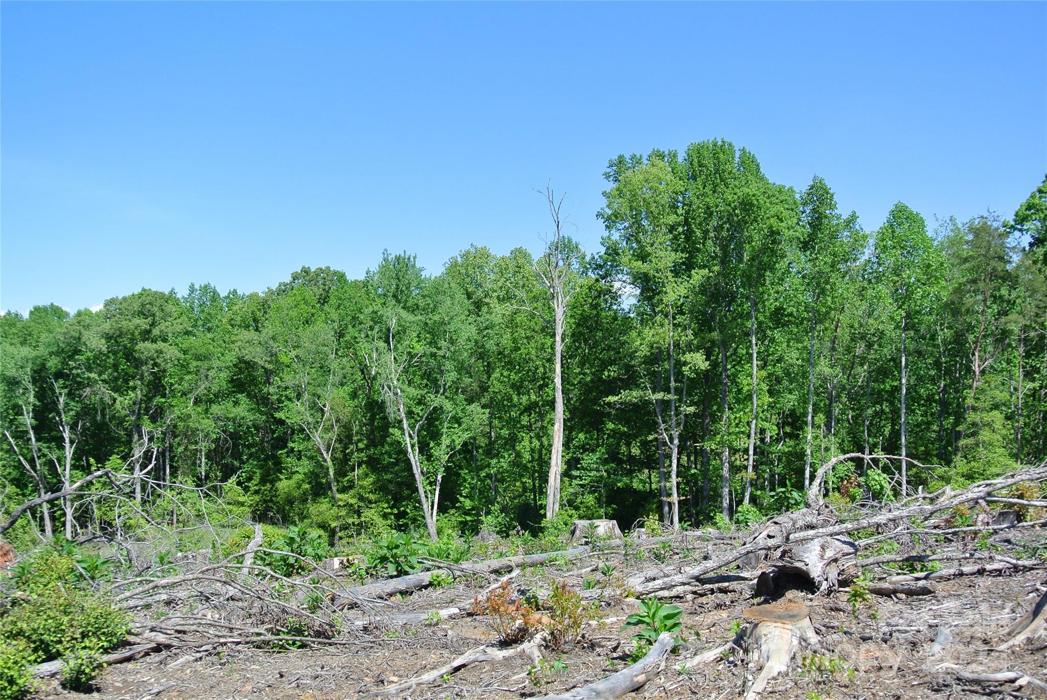 0 Hopper Road Forest City, NC 28043 - Photo 12 of 22 a backyard of a house with lots of trees