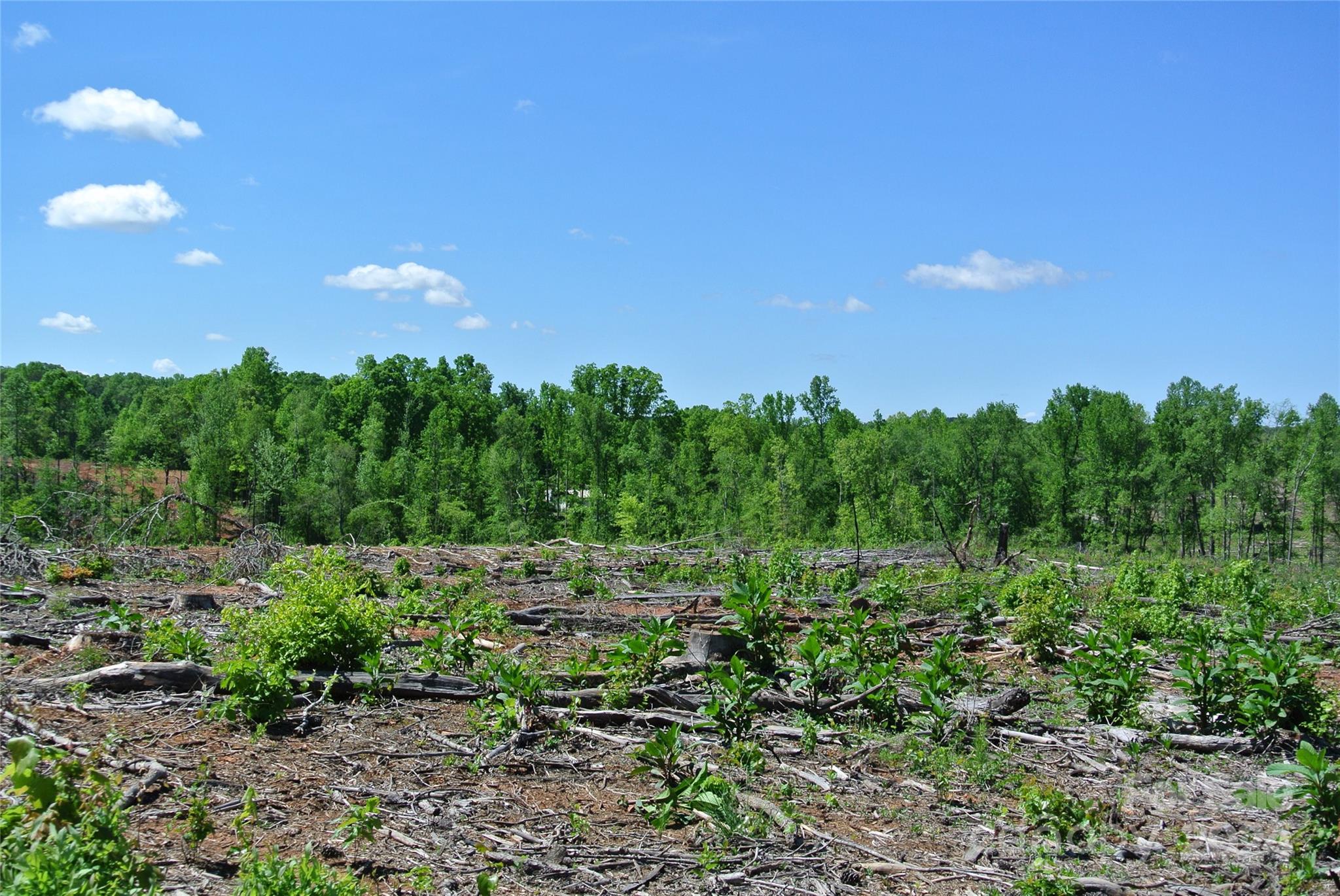0 Hopper Road Forest City, NC 28043 - Photo 13 of 22 a view of a city and green space