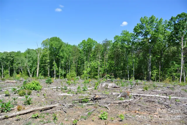 a view of a yard with a tree