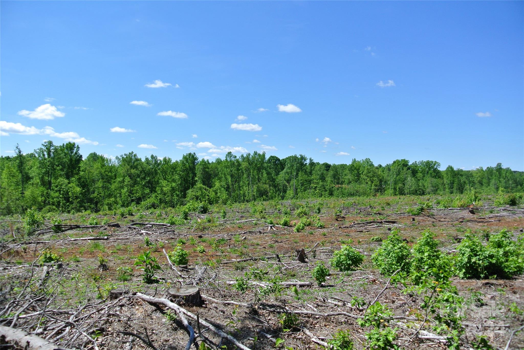 0 Hopper Road Forest City, NC 28043 - Photo 18 of 22 a view of a yard with a tree