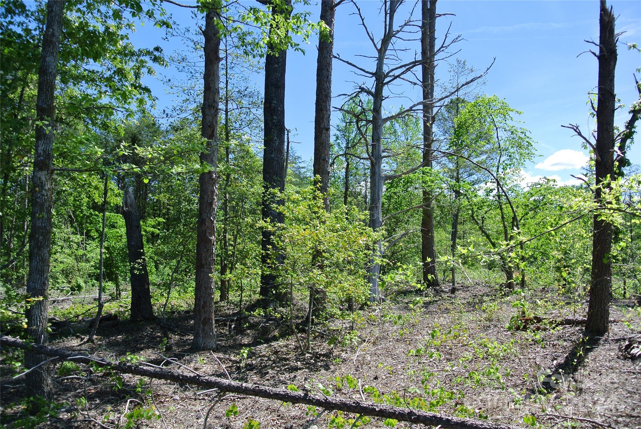 0 Hopper Road Forest City, NC 28043 - Photo 19 of 22 a view of a garden