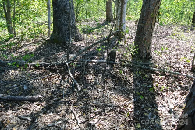 a view of a yard with plants and wooden fence