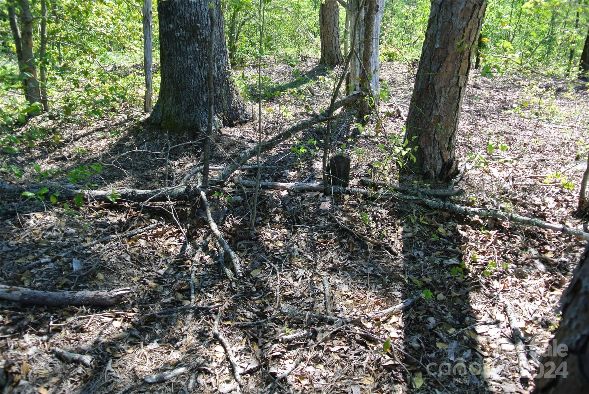 0 Hopper Road Forest City, NC 28043 - Photo 20 of 22 a view of a tree in a yard