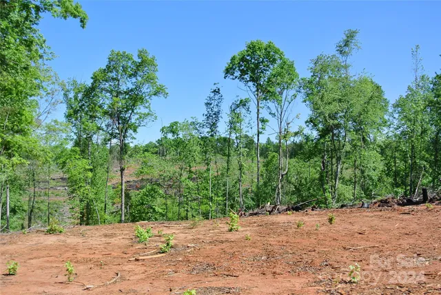 a view of a plants with trees in front of it