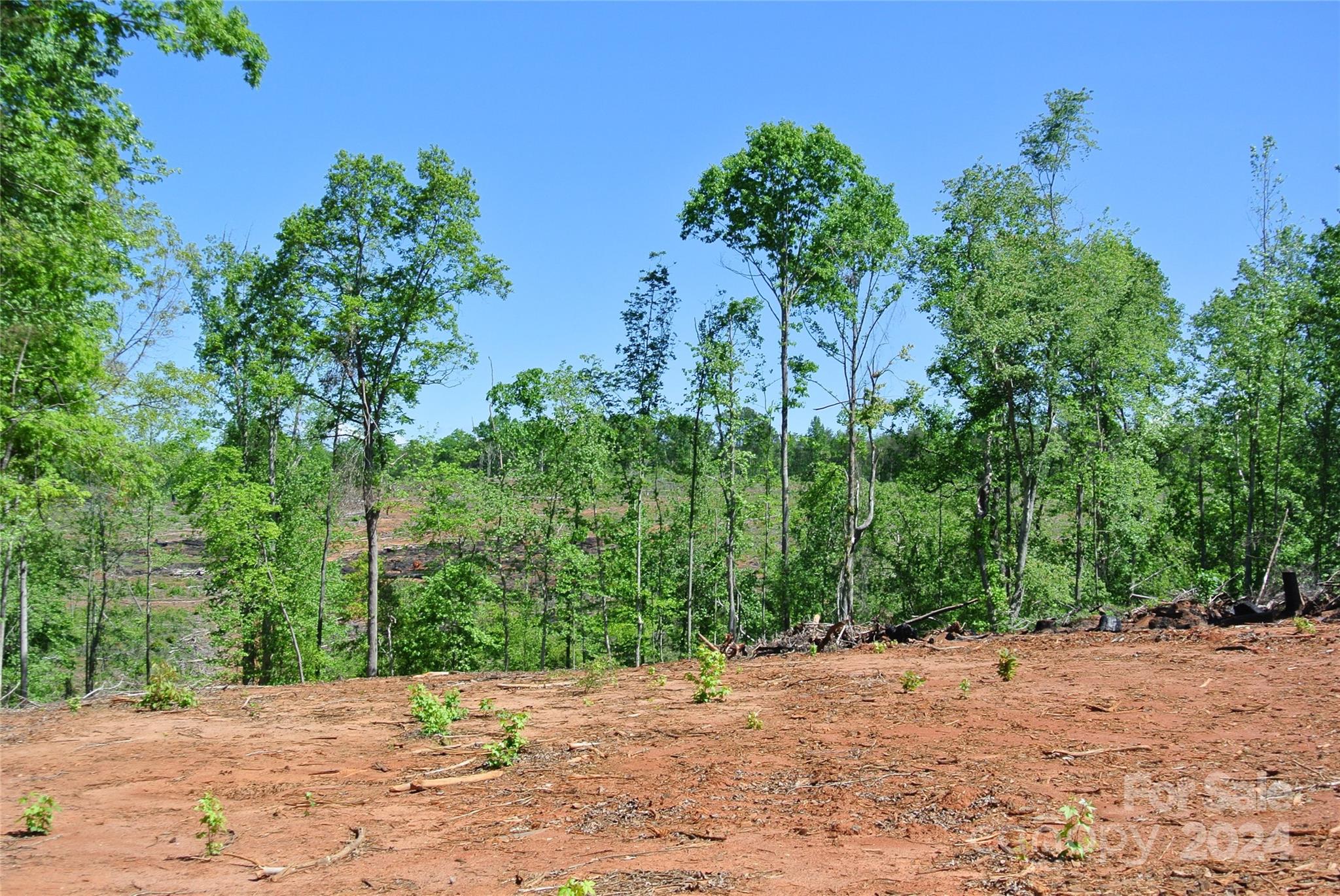 0 Hopper Road Forest City, NC 28043 - Photo 2 of 22 a view of a plants with trees in front of it
