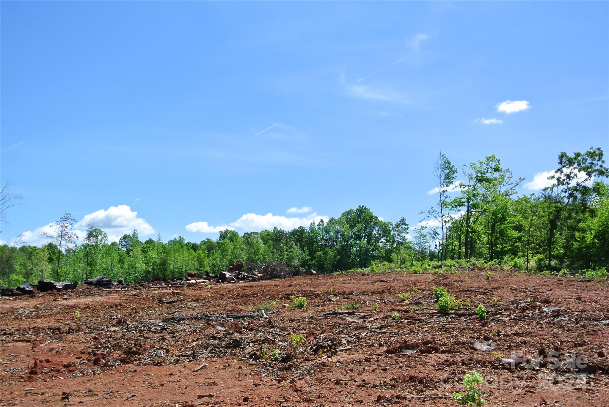 0 Hopper Road Forest City, NC 28043 - Photo 3 of 22 a view of a yard with plants and large trees