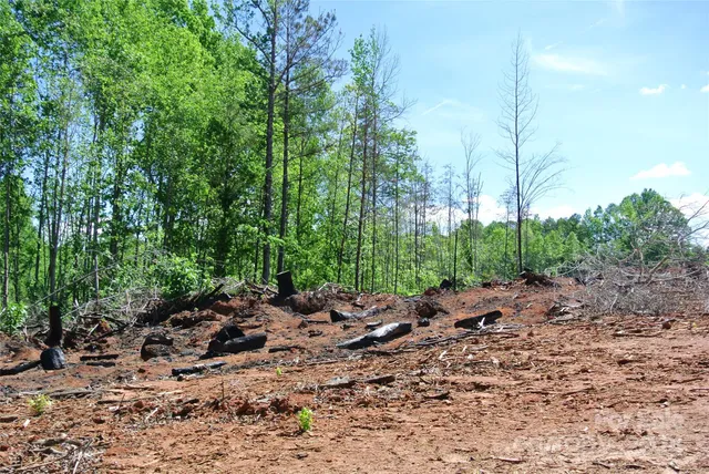 a wooden bench sitting in a forest
