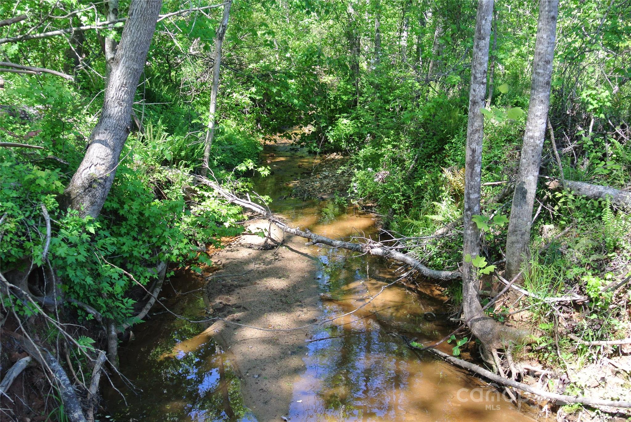 0 Hopper Road Forest City, NC 28043 - Photo 5 of 22 a view of a tree