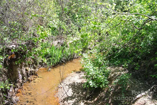 a view of a lake with a tree