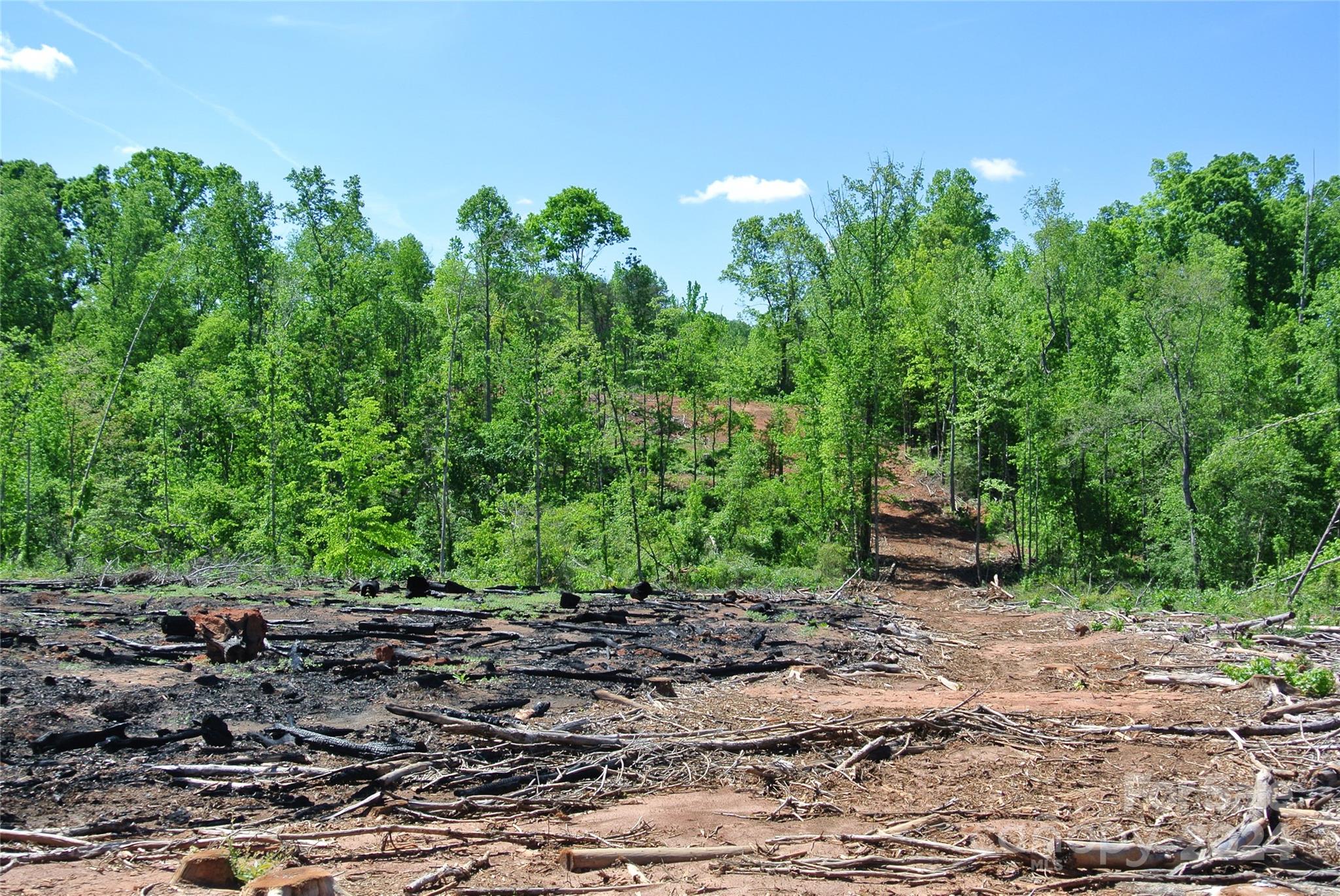 0 Hopper Road Forest City, NC 28043 - Photo 7 of 22 a backyard of a house with lots of green space
