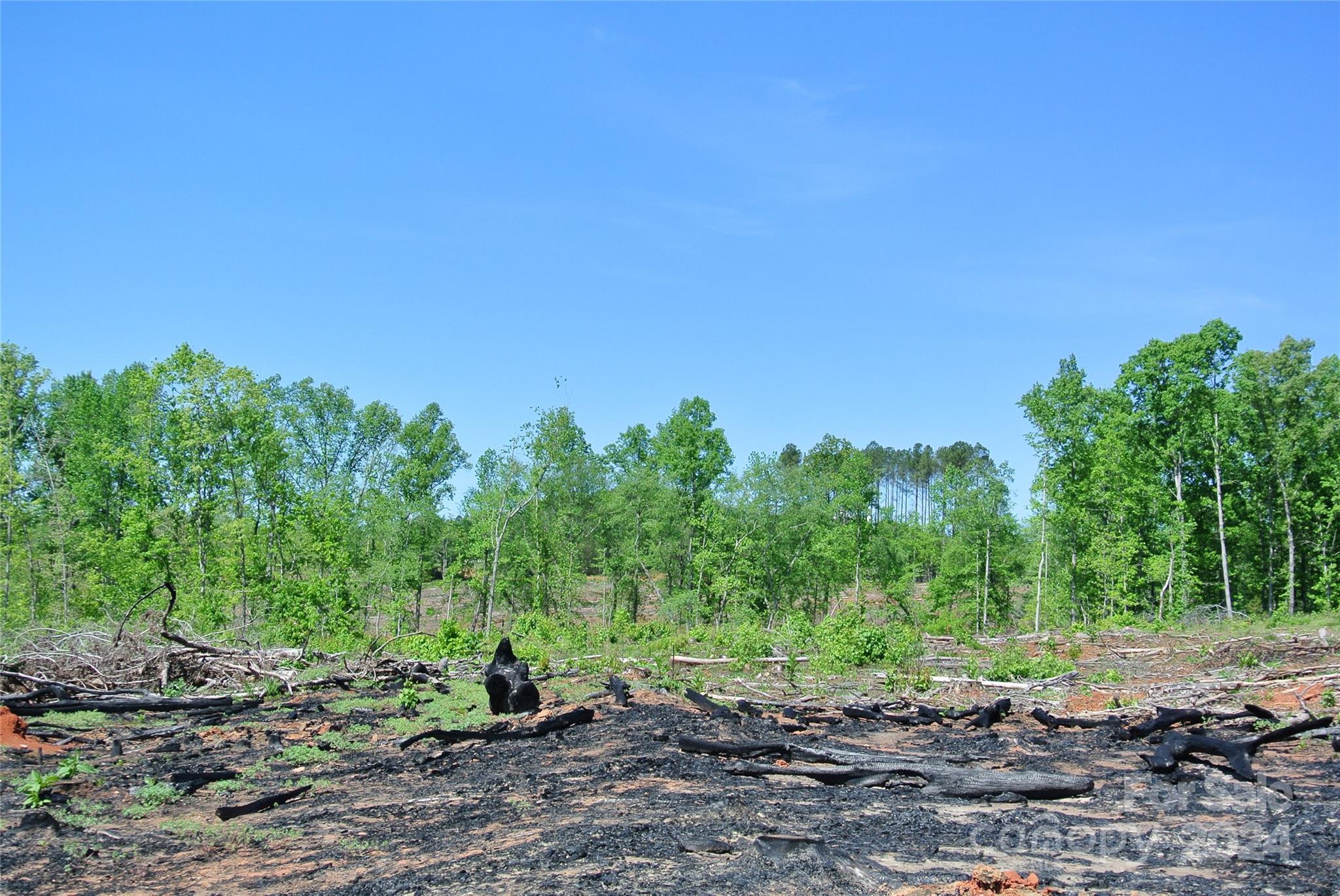 0 Hopper Road Forest City, NC 28043 - Photo 8 of 22 a backyard of a house with lots of plants