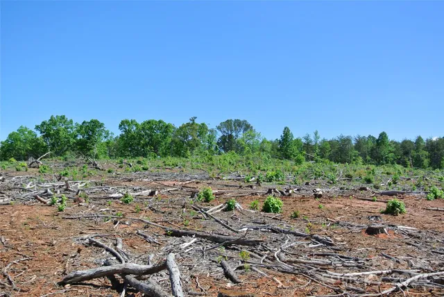 a view of a large yard with lots of green space