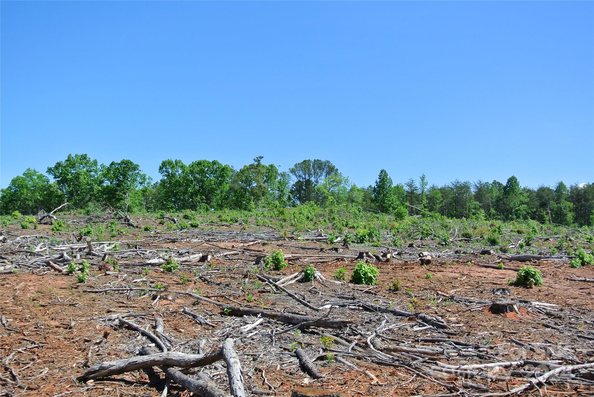 0 Hopper Road Forest City, NC 28043 - Photo 9 of 22 a view of a large yard with lots of green space