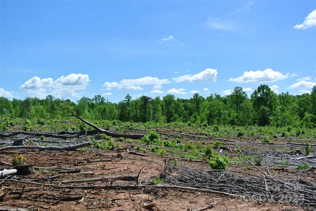a view of a bunch of trees