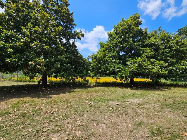 $490,000 | 1018 An County Road 2301, Tennessee Colony, TX 75861