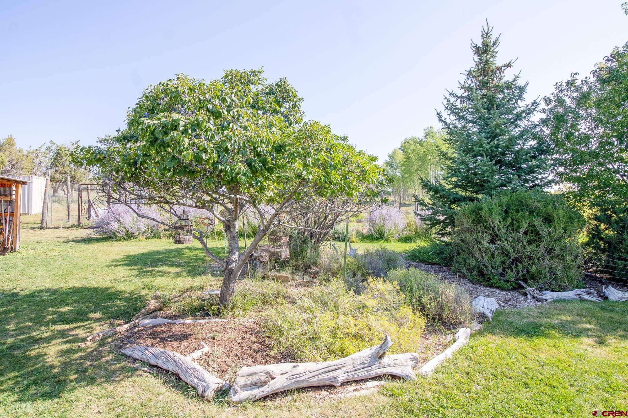 28655 Rd P.7 Dolores, CO 81323 - Photo 27 of 35 Gallery Image 27
