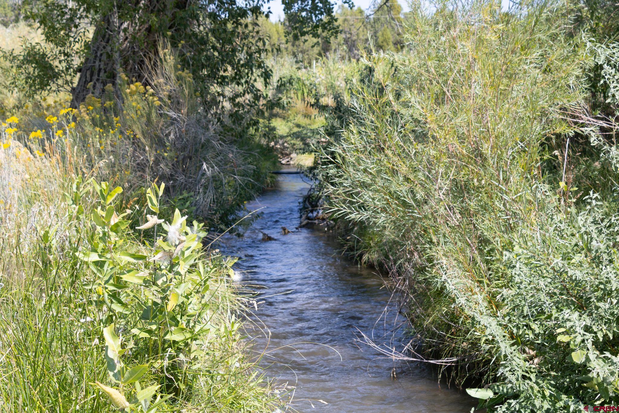 28655 Rd P.7 Dolores, CO 81323 - Photo 35 of 35 Gallery Image 35