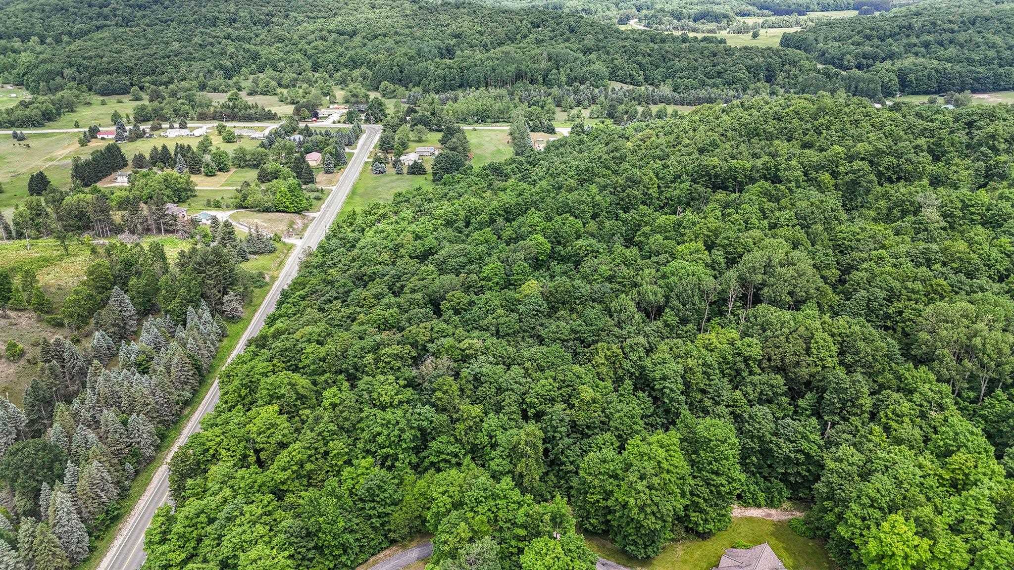 V/l South Coleman Road Maple City, MI 49664 - Photo 14 of 22