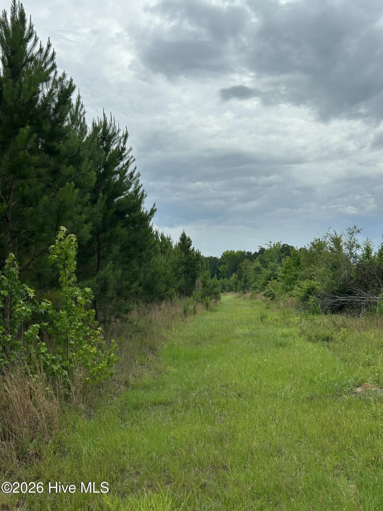 0 Pughsley Road Stapleton, GA 30823 - Photo 5 of 10 IMG_4813