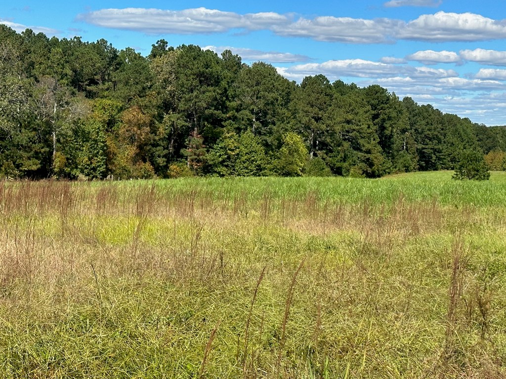 0 Highway 39 Chappells, SC 29037 - Photo 13 of 33 Gallery Image 13