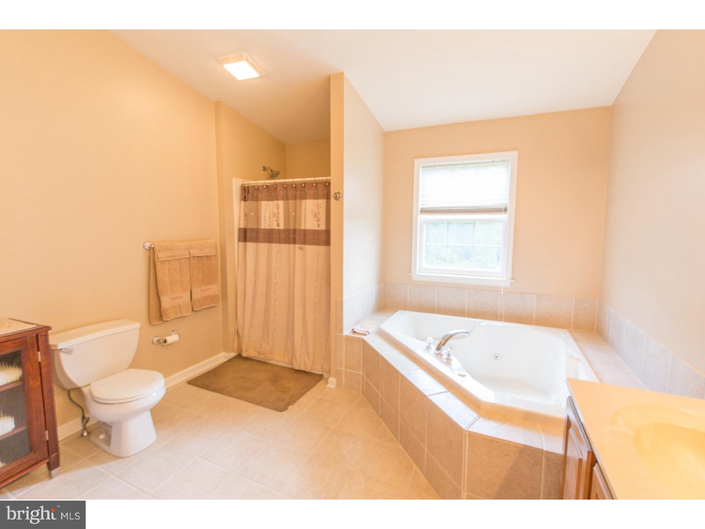 5013 Hiffletrayer Road Green Lane, PA 18054 - Photo 19 of 25 Master Bathroom