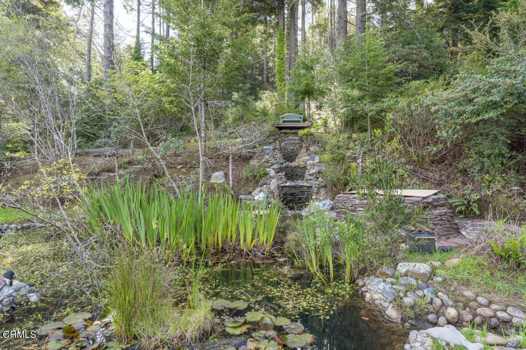 33451 Little Valley Road Fort Bragg, CA 95437 - Photo 43 of 55 DSC06404-HDR