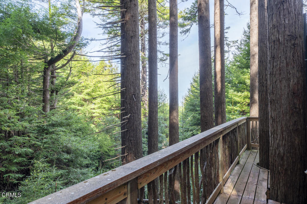 33451 Little Valley Road Fort Bragg, CA 95437 - Photo 45 of 55 DSC06410-HDR