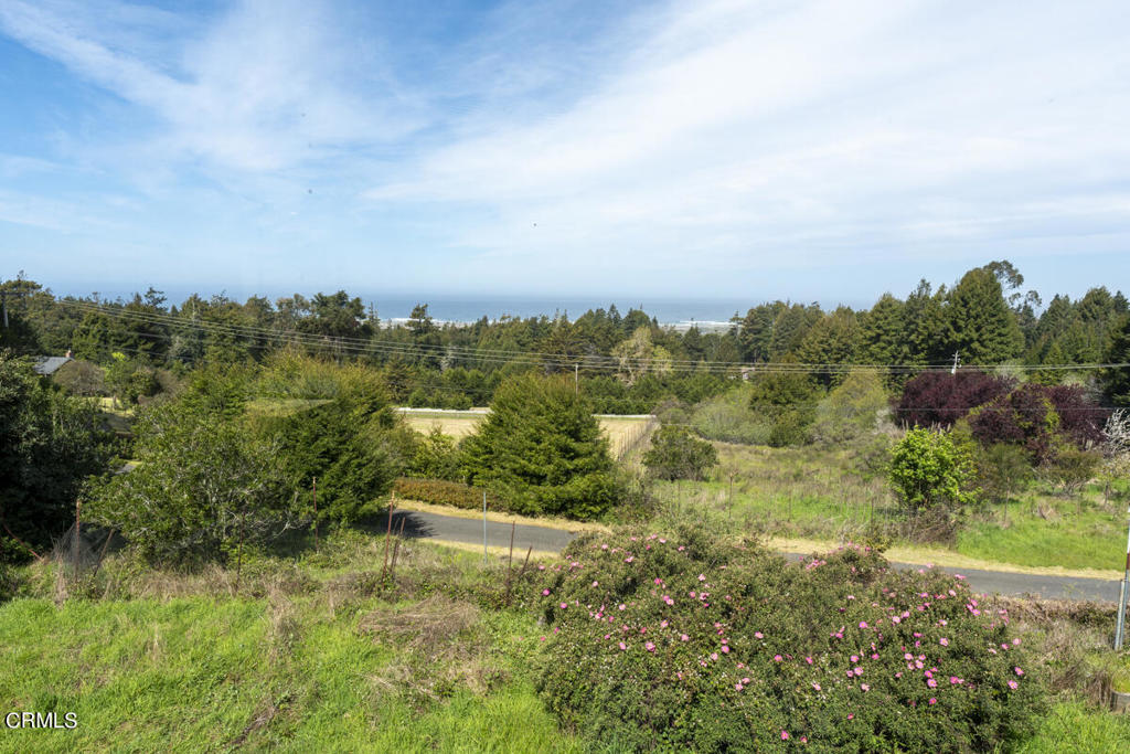 33451 Little Valley Road Fort Bragg, CA 95437 - Photo 48 of 55 DSC06423-2