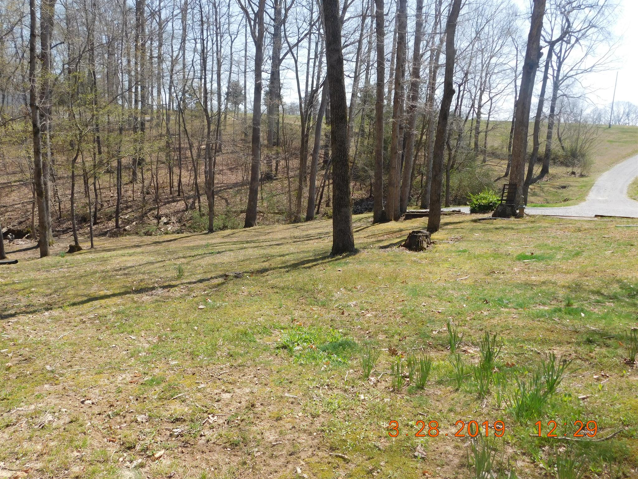 660 North Davidson Road Bon Aqua, TN 37025 - Photo 8 of 17