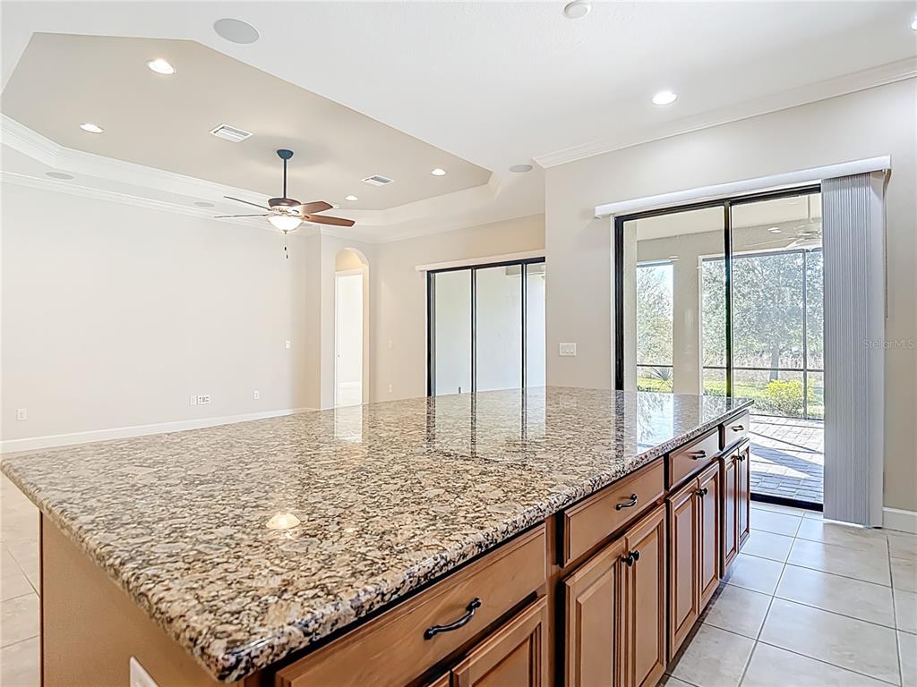 8613 Grand Alberato Road Tampa, FL 33647 - Photo 16 of 56