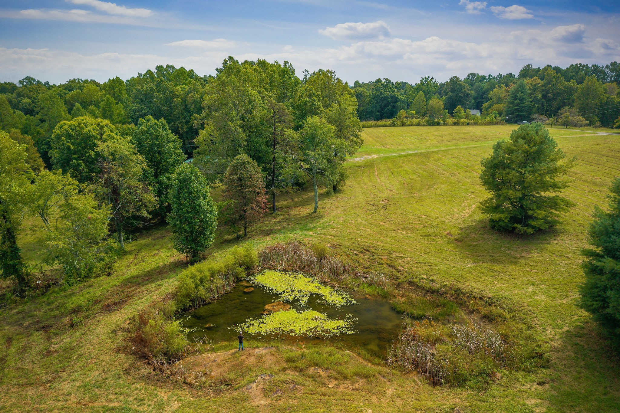229 Craig Road Monterey, TN 38574 - Photo 14 of 18 a view of an ocean from a yard