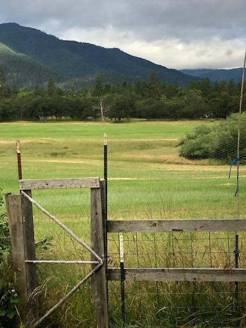 1350 Kubli Road Grants Pass, OR 97527 - Photo 20 of 23 IMG_2312