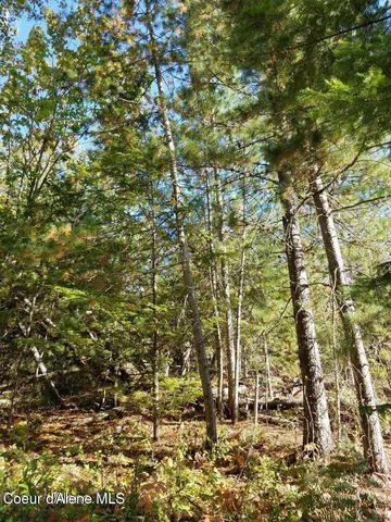 $117,500 | 113 Trail Blazer Court, Pinehurst, ID 83850