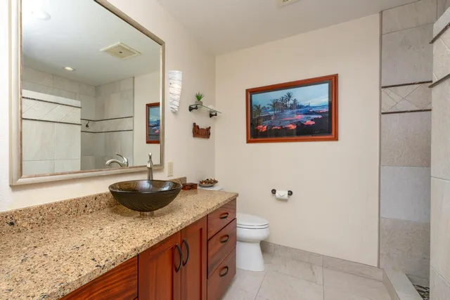 a bathroom with a granite countertop sink a toilet and shower