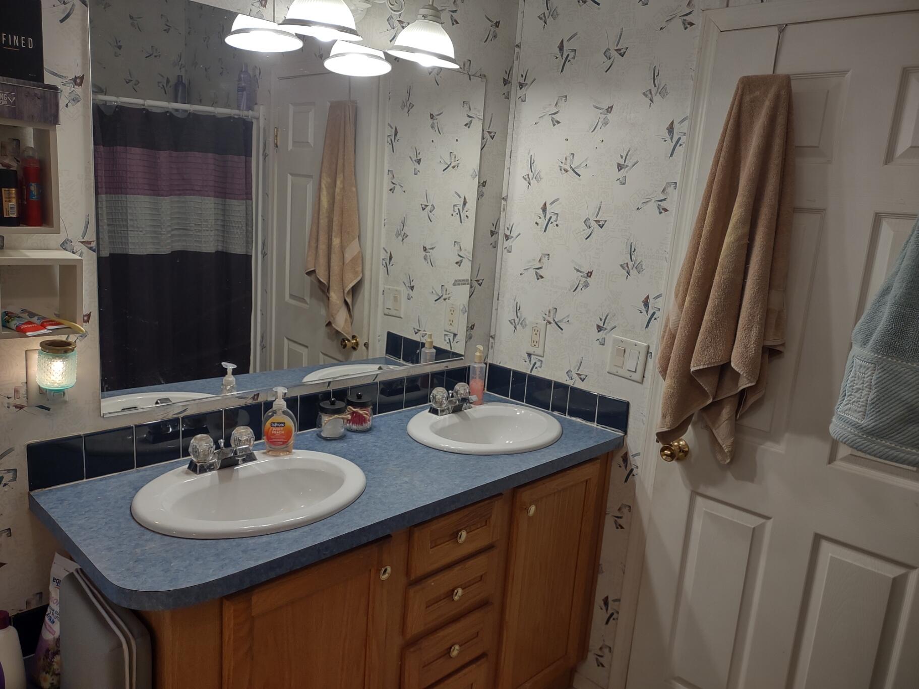 539 Craig Woods Road New Castle, VA 24127 - Photo 15 of 29 CWMasterbath1