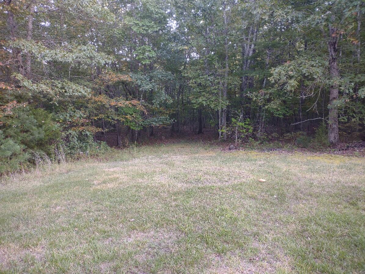 539 Craig Woods Road New Castle, VA 24127 - Photo 27 of 29 CWland