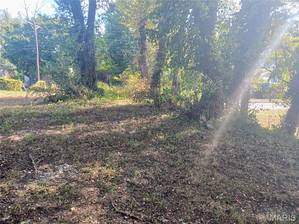 600 Miller Street Alton, IL 62002 - Photo 11 of 11