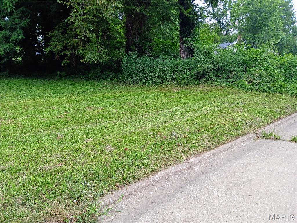 600 Miller Street Alton, IL 62002 - Photo 3 of 11