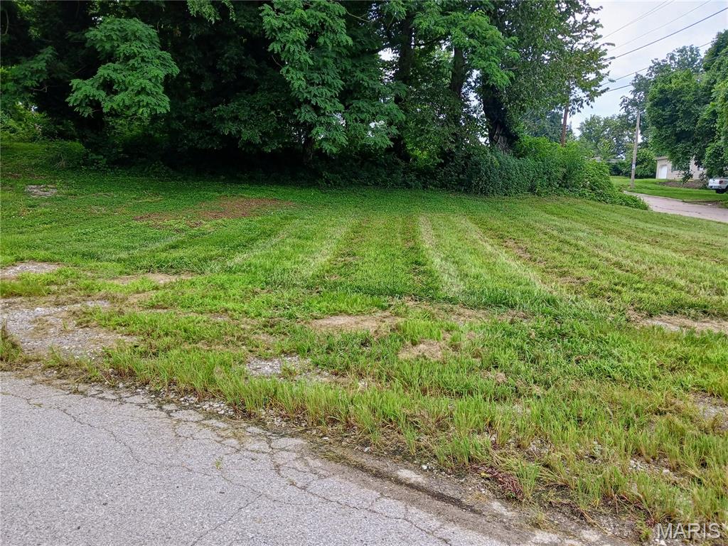 600 Miller Street Alton, IL 62002 - Photo 5 of 11