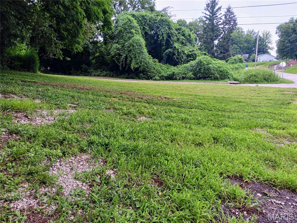 600 Miller Street Alton, IL 62002 - Photo 6 of 11